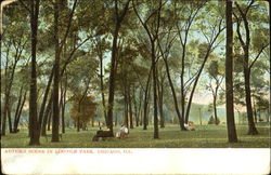 Autumn Scene In Lincoln Park Chicago, IL Postcard Postcard