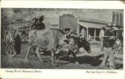 Haulnig Wood Postcard