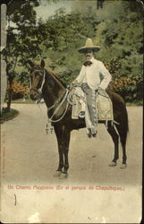 Un Charron Mexicano Postcard