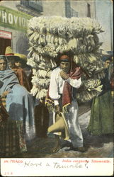 Indio Cargado Totomostle Postcard
