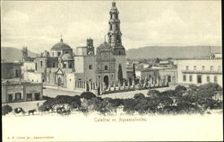 Catedral En Aguascalientes Postcard
