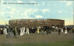 Crowd At The Bullfight Postcard