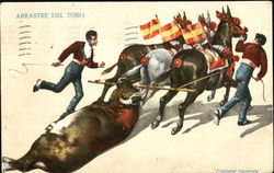 Arrastre Del Toro Postcard