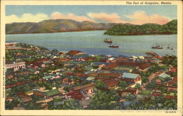 The Port Of Acapulco Mexico