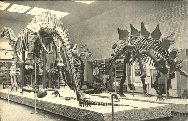 Peabody Museum Of Natural History, Yale University New Haven Connecticut