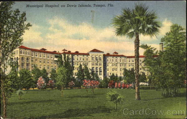 Municipal Hospital On Davis Islands Tampa Florida