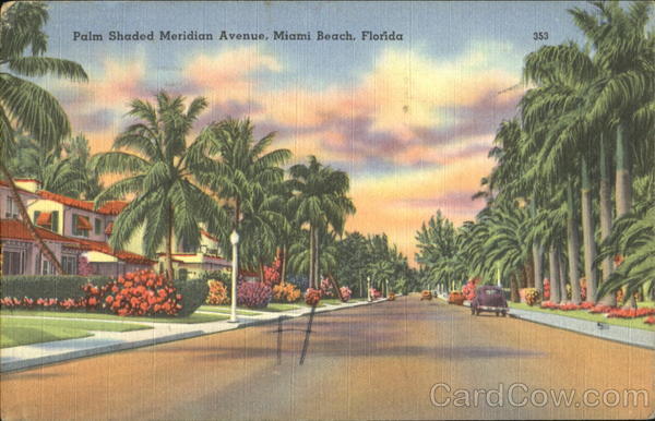 Palm Shaded Meridian Avenue Miami Beach Florida