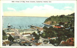 View Of Bay From Avalon Postcard