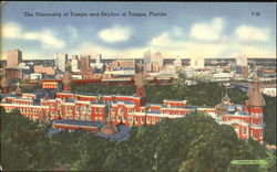 The University Of Tampa And Skyline Postcard
