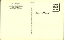 back