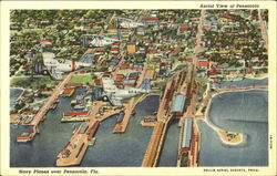 Navy Planes Pensacola Florida Postcard Postcard