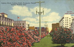 Palafox Street Pensacola, FL Postcard Postcard