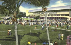 Gulfstream Park Race Course Hallandale Beach, FL Postcard Postcard