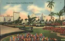 Flower Beds In Bayfront Park Postcard