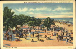 Bathers Enjoying The Palm Shaded Beach Miami Beach, FL Postcard Postcard