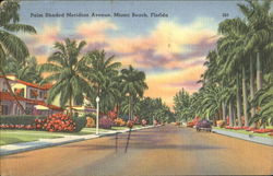 Palm Shaded Meridian Avenue Postcard