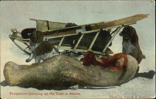 Prospector Camping On The Trail In Alaska