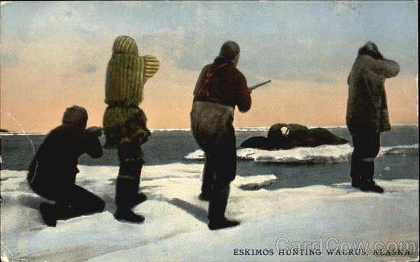 Eskimo Hunting Walrus Alaska