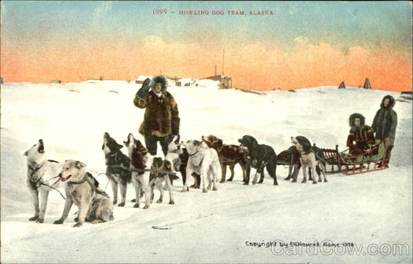 Howling Dog Team Alaska Dogs