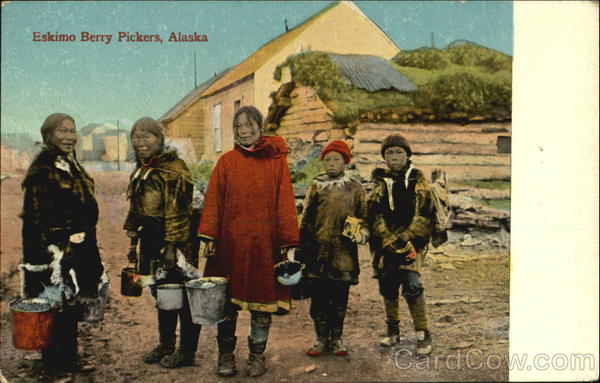 Eskimo Berry Pickers Lomen Sample Nome Alaska Native Americana