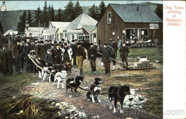 Dog Team Arriving At Skagway Alaska