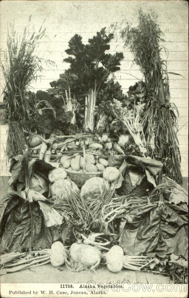 Alaska Vegetables