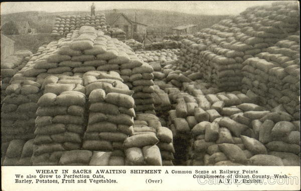 Wheat In Sacks Awaiting Shipment Seattle Washington