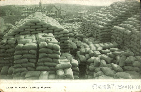 Wheat In Stacks Waiting Shipment Washington