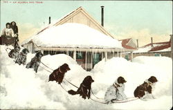 An Alaska Dog Team Postcard