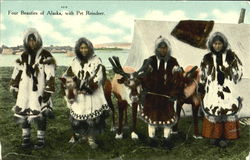 Four Beauties Of Alaska With Pet Reindeer Postcard