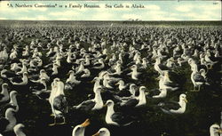 Stock #132197 Thumbnail