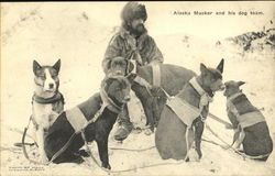 Alaska Musker And His Dog Team Postcard