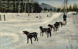 Iditarod Racing Team Arriving In Seward Alaska Postcard Postcard
