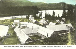 Fortman Hatchery Ketchikan, AK Postcard Postcard
