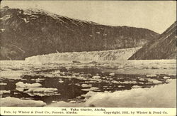 Taku Glacier Scenic, AK Postcard Postcard
