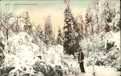 Winter Scene In Alaska Winter Scene In Alaska