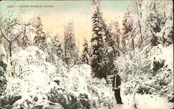 Winter Scene In Alaska Scenic, AK Postcard Postcard