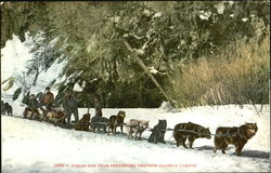 Yukon Dog Team Freighting Through Alaskan Canyon Dogs Postcard Postcard