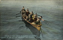 Eskimo In Skin Omiak In Pursuit Of Walrus Postcard