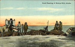 Good Hunting A Walrus Kill Postcard