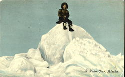 A Polar Star Alaska Postcard Postcard
