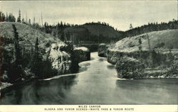 Miles Canyon Scenic, AK Postcard Postcard