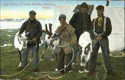 Cape Prince Of Wales Reindeer Herders Postcard