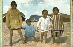 A Summer Day In The Arctic Postcard