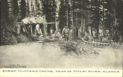 Sheep Hunters Cache Postcard