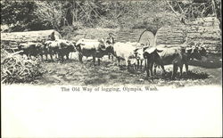 The Old Way Of Logging Olympia, WA Postcard Postcard