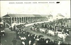 Stock Parade, Valley Fair Puyallup, WA Postcard Postcard