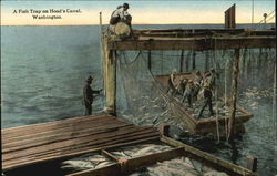 A Fish Trap On Hood's Canal Postcard