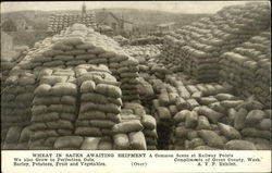 Wheat In Sacks Awaiting Shipment Postcard