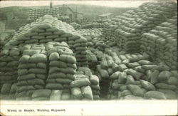 Wheat In Stacks Waiting Shipment Postcard